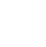 Regulated Financial Institution