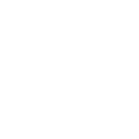 Operating Model