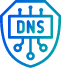 DNS Logging