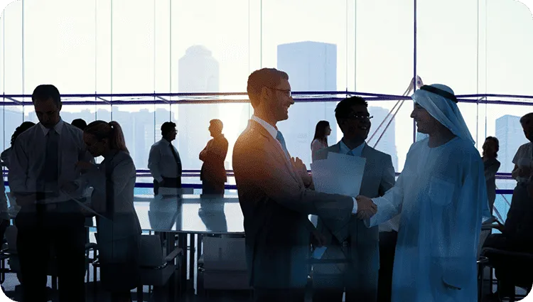 UAE Security Improvement UAE Security Improvement