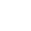 Regulated Financial Institution
