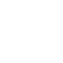 Regulated Financial Institution